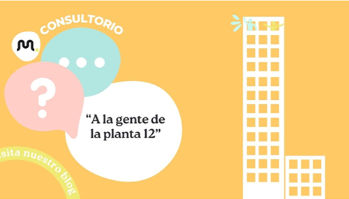 quienes son los de la planta 12