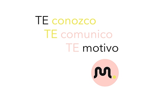 estilos modelo Bridge: te conozco, comunico y motivo